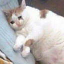 สมาชิกหมายเลข 3517518