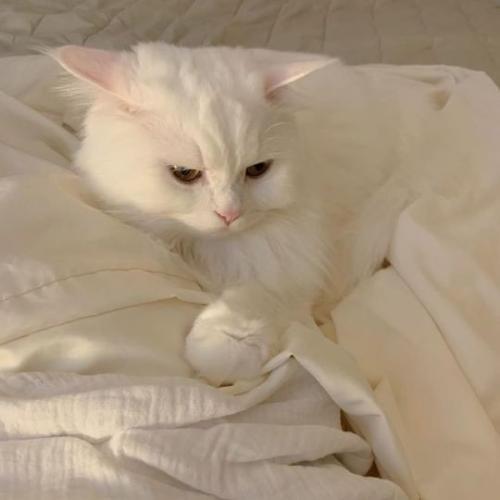 สมาชิกหมายเลข 4698656