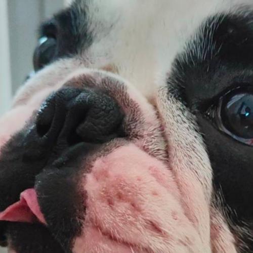 สมาชิกหมายเลข 7889200