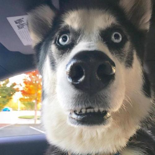 สมาชิกหมายเลข 6881783