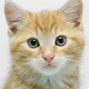 สมาชิกหมายเลข 3289323