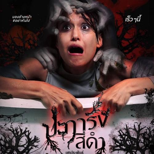 สมาชิกหมายเลข 5241830