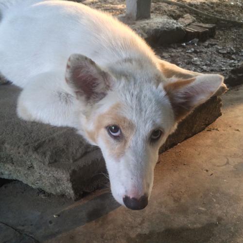 สมาชิกหมายเลข 5349477