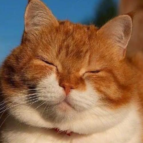 สมาชิกหมายเลข 5125167