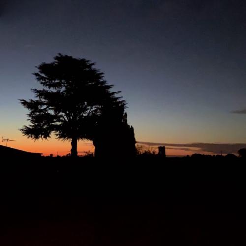 สมาชิกหมายเลข 5610295