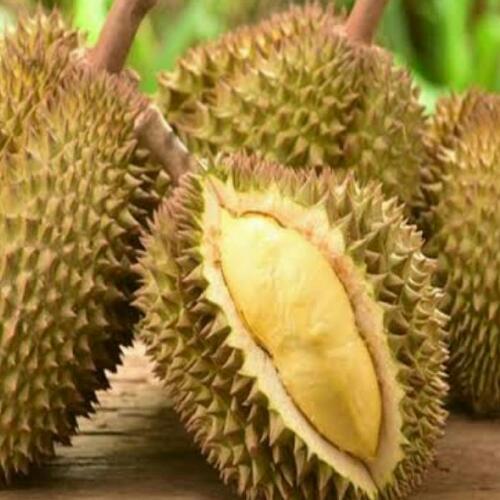 สมาชิกหมายเลข 6428187