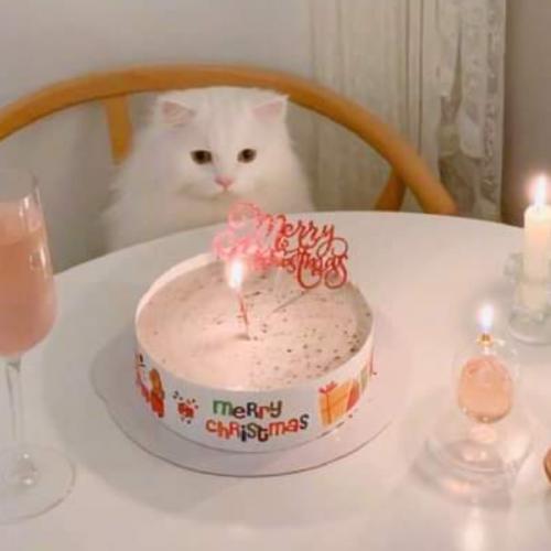 สมาชิกหมายเลข 6431423