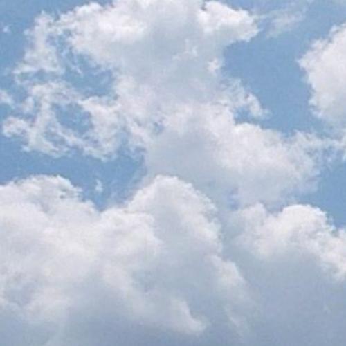 สมาชิกหมายเลข 2803239