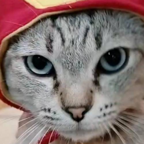 สมาชิกหมายเลข 5833503