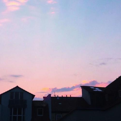 แว่นตากับชาเขียว