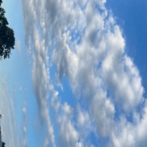 สมาชิกหมายเลข 2420391