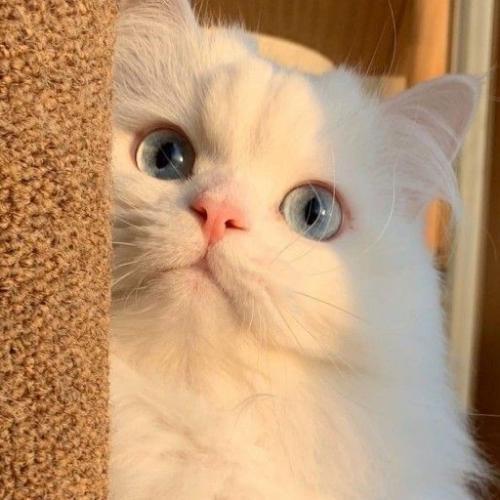 สมาชิกหมายเลข 7912859