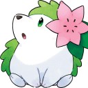 เม่นแว่น