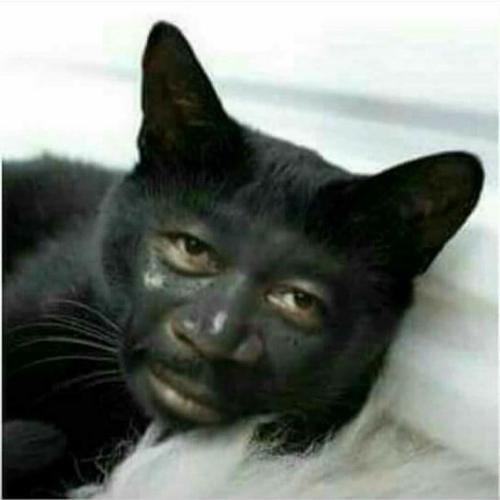 สมาชิกหมายเลข 6431828