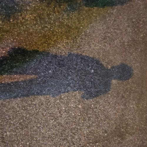 สมาชิกหมายเลข 5953703