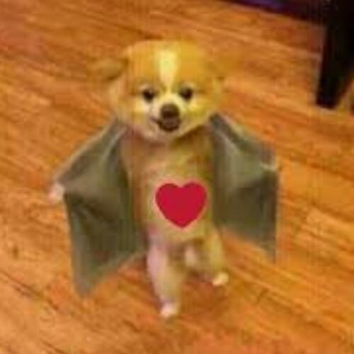 สมาชิกหมายเลข 7125697