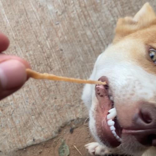 สมาชิกหมายเลข 4228713