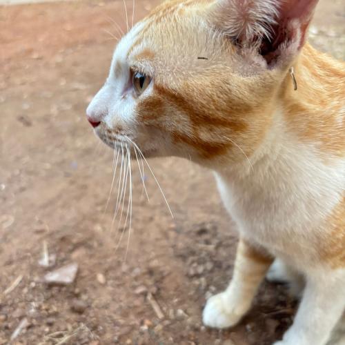 สมาชิกหมายเลข 8519218