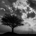 สมาชิกหมายเลข 3620749