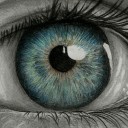 สมาชิกหมายเลข 4204128