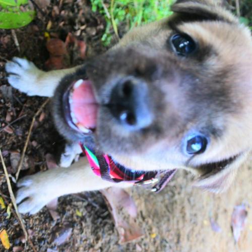 สมาชิกหมายเลข 4204489