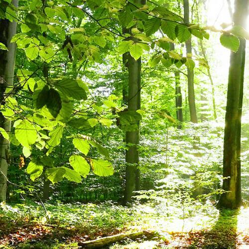 สมาชิกหมายเลข 4601948