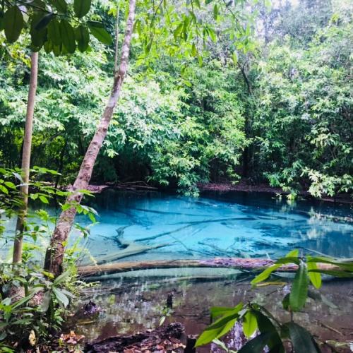 สมาชิกหมายเลข 4602518