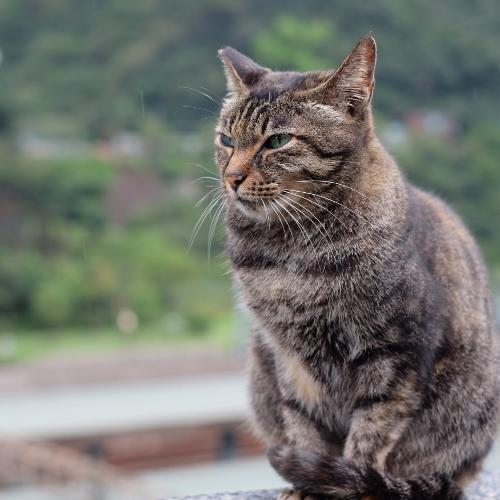 สมาชิกหมายเลข 1203068