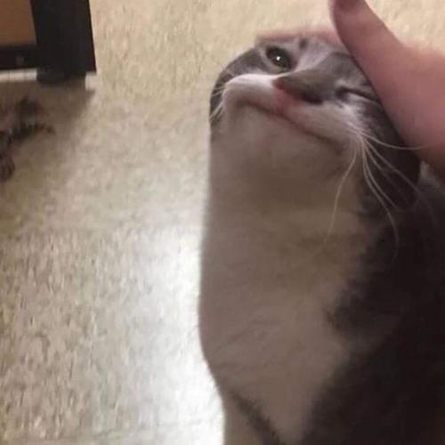 สมาชิกหมายเลข 4952298