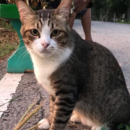 สมาชิกหมายเลข 3234637