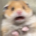 สมาชิกหมายเลข 4462760