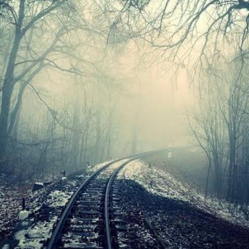 สมาชิกหมายเลข 5342876