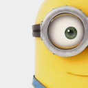 สมาชิกหมายเลข 5350228