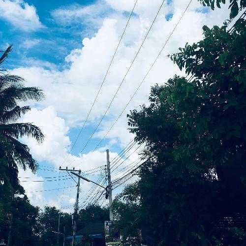 สมาชิกหมายเลข 5350450