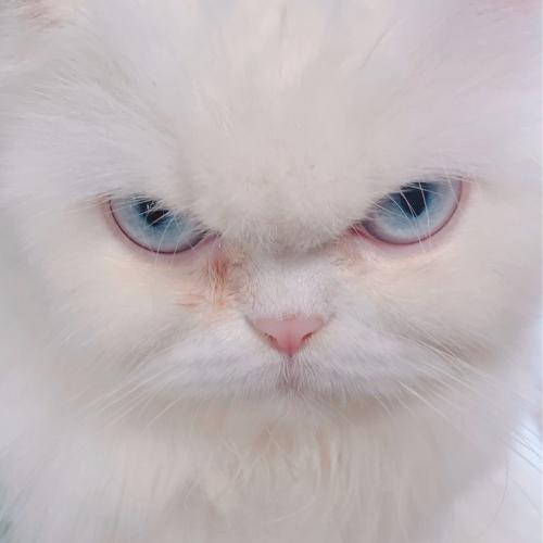 สมาชิกหมายเลข 5367577