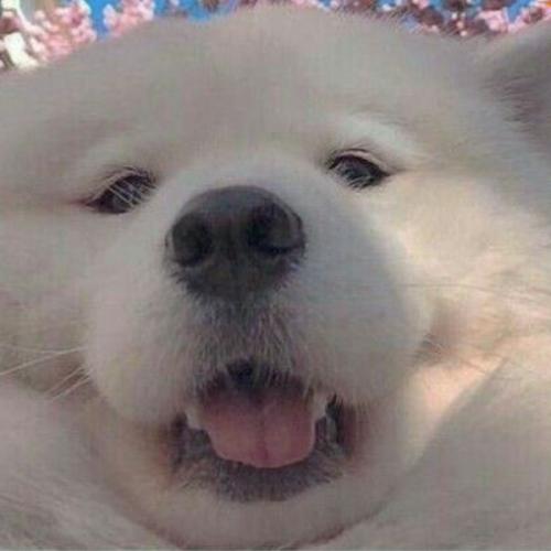 สมาชิกหมายเลข 5828791