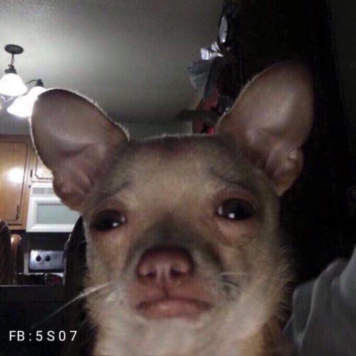 สมาชิกหมายเลข 4890979