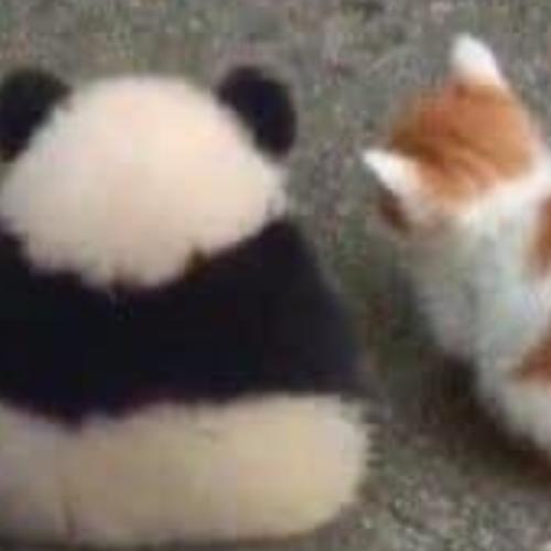 สมาชิกหมายเลข 4913429