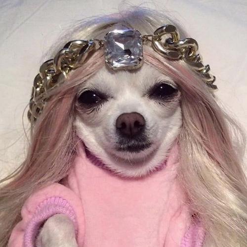 สมาชิกหมายเลข 6432269