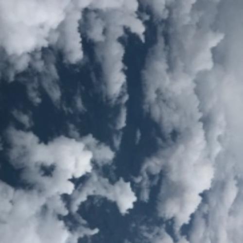 สมาชิกหมายเลข 5584447