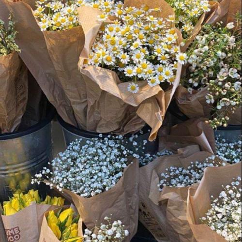 สมาชิกหมายเลข 7914183