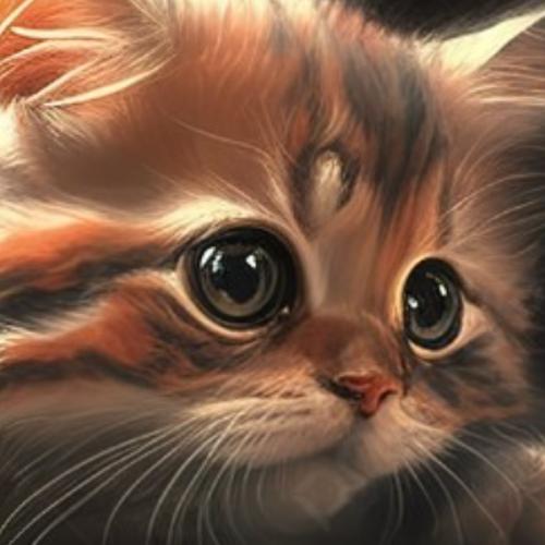 สมาชิกหมายเลข 7914418