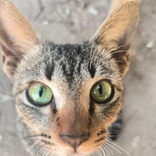 สมาชิกหมายเลข 8652157