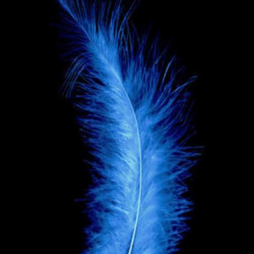 สมาชิกหมายเลข 4602686