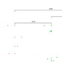 แรดน้อยคอยรัก