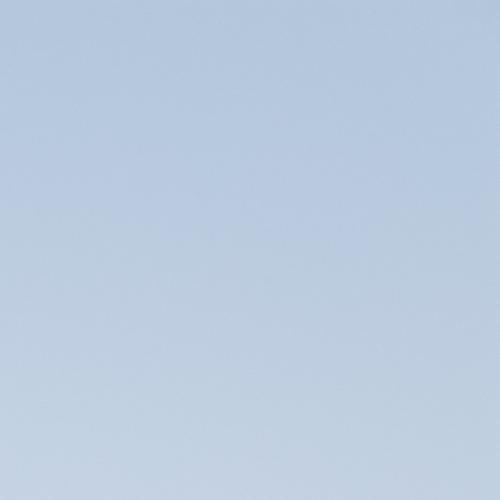 สมาชิกหมายเลข 4505755