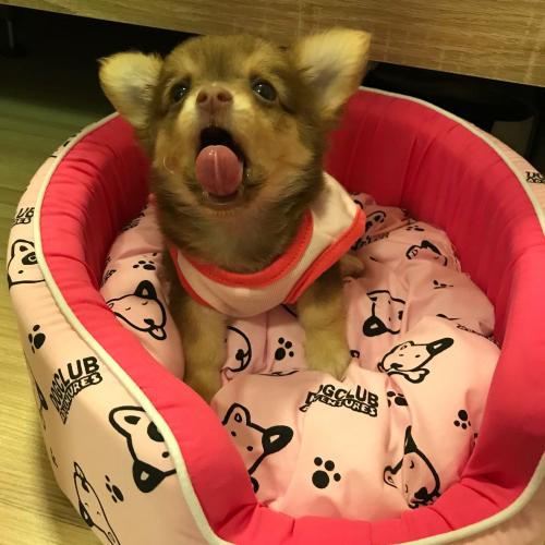 สมาชิกหมายเลข 4952741