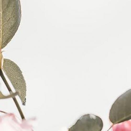 สมาชิกหมายเลข 4952749