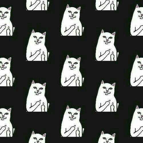 สมาชิกหมายเลข 4490419