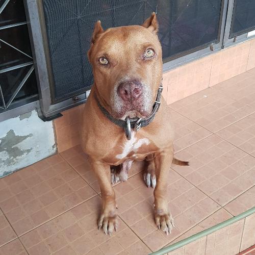 สมาชิกหมายเลข 5810130